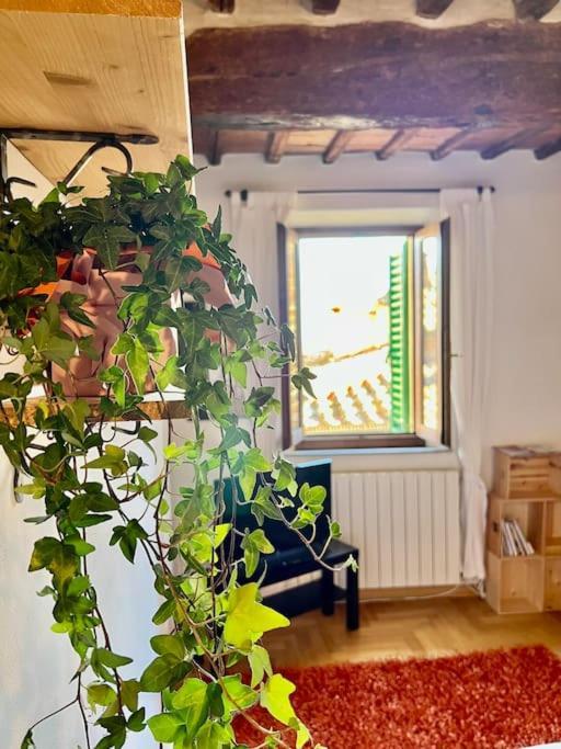Apartmán Siena - A Pochi Passi Da Piazza Del Campo Exteriér fotografie