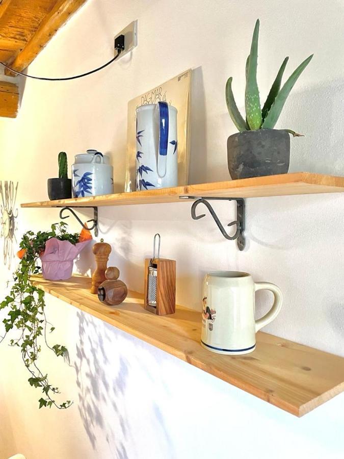 Apartmán Siena - A Pochi Passi Da Piazza Del Campo Exteriér fotografie